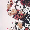 Huzur_mutluluk_ask