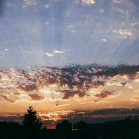 turuncuseverbirkişi