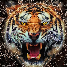 tigermanv2