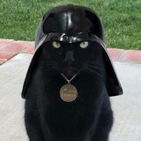 nostradamus666