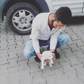 tolgaswm