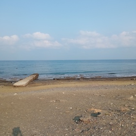Damla6554