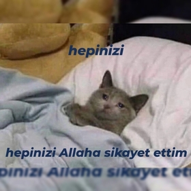 Satanstkesencat