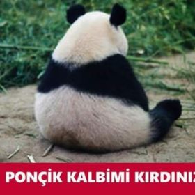 Minnikponçik