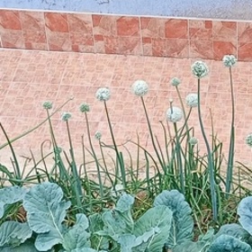 Emre_36