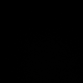 WOMANN_