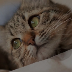 kim_bu_aleyna58