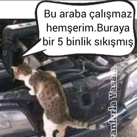 fckbd42