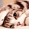 beyza8828
