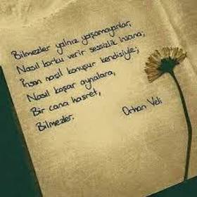 sevgisizadam35