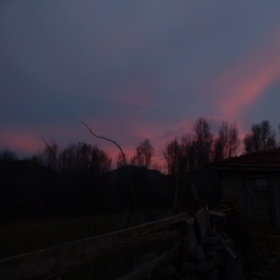 Volkann03