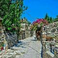 zehur