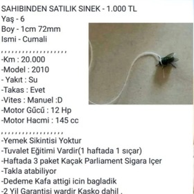 Bathantaah313131