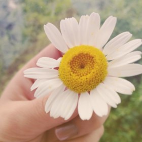 mavimira_2287