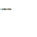 enes_66