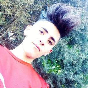 Pasa_ysf