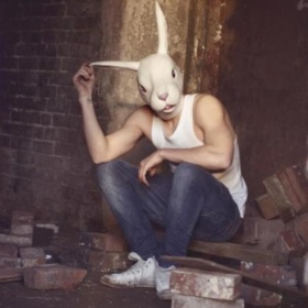 SirRabbit