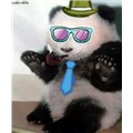 ŞefOturanPanda