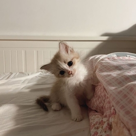 Nilaylly
