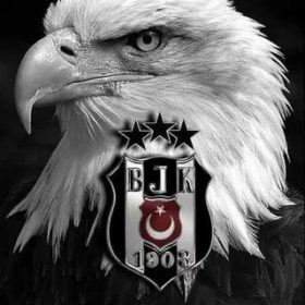zübişşşşş