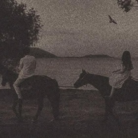 noktalandii