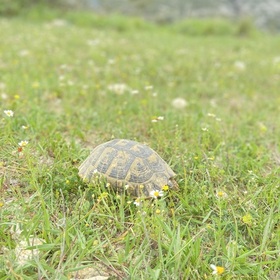 Sevilmeyenkız1234