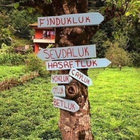 elbetbirgün53