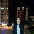 cılgınkurt