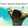 BelaHatunn