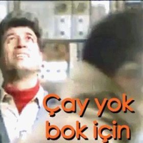 küflenmişbirgül