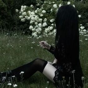 user8228