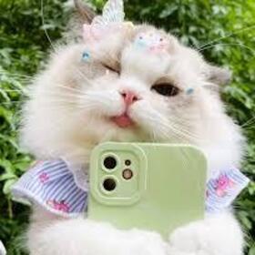 Gizem_9941