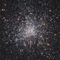 omer303003