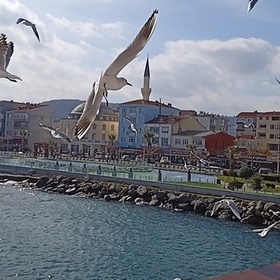 Selam_09