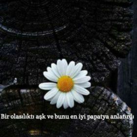aysenur01nur