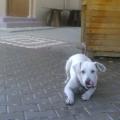 cihan10