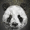 pandazum