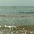 Ankaralı_