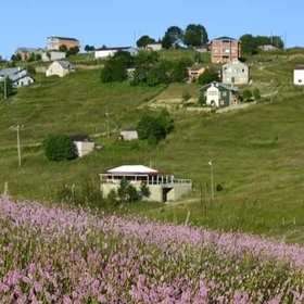 fikret3435