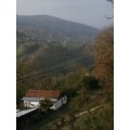 ayten