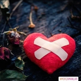 melisskrds