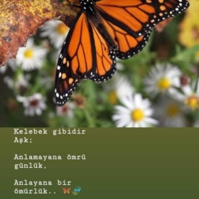 nurunuz32
