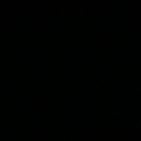 Fdnsms