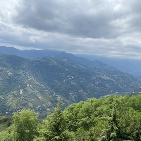 Delidoluydu