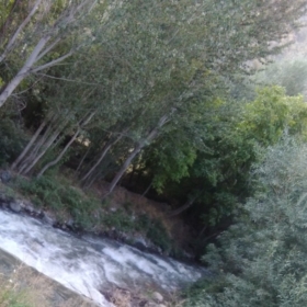 Kadınsal