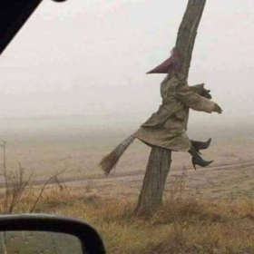 bokyemektenbıkmadım
