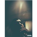 AllDayAlone