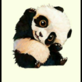 Raabiiaa