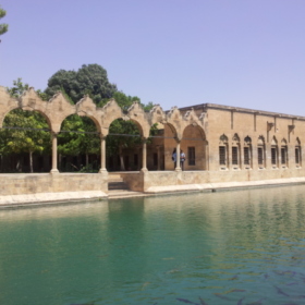 şebbab