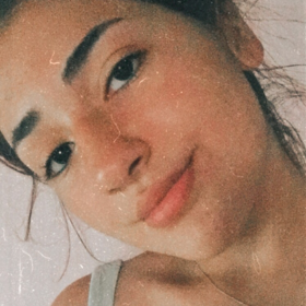 Msesla045